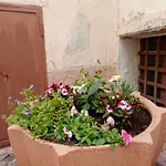 Casa Panorama بوسادا